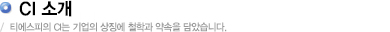CI 소개